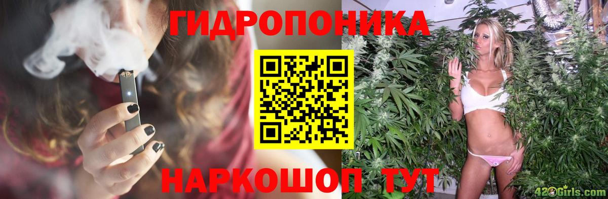 Каннабис гибрид Видное